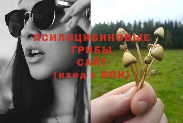 каннабис Богданович