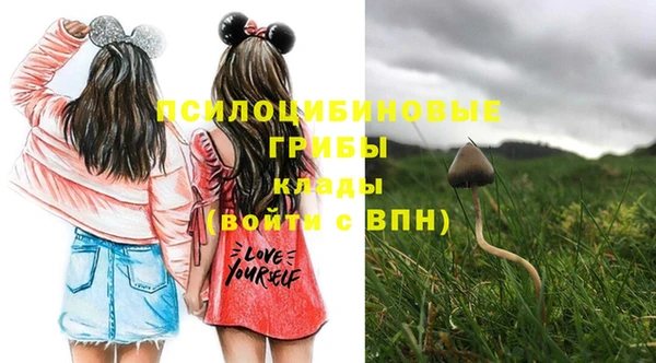 меф Бородино