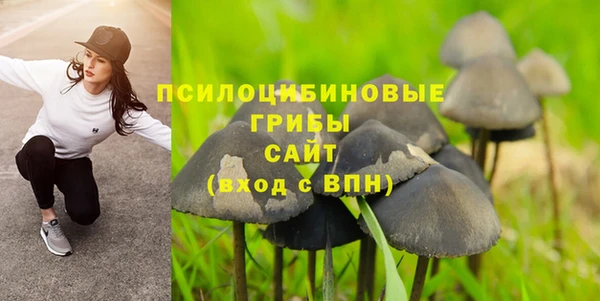 кокс Богородск