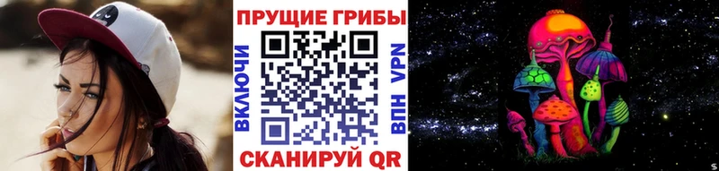 Псилоцибиновые грибы GOLDEN TEACHER Купить где Клинцы